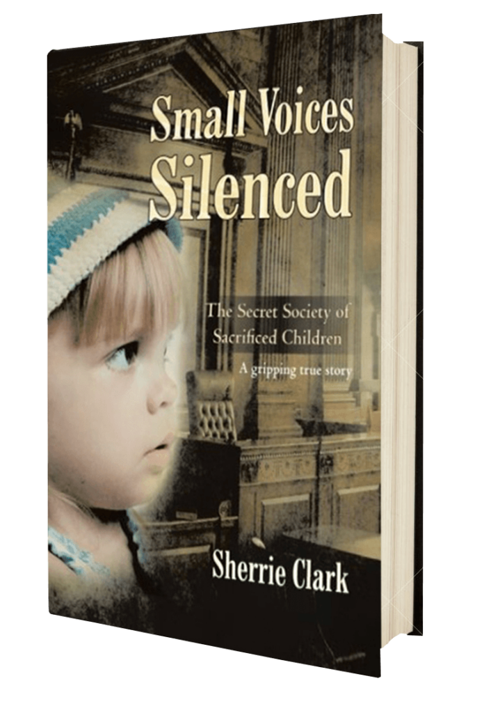 small+voices+silenced+3d+book+clip 1920w